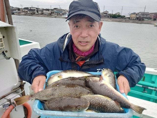 ショウサイフグ