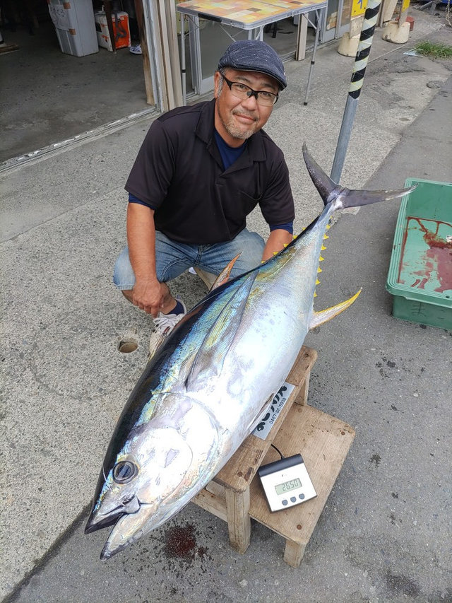 キハダマグロ(キハダ)