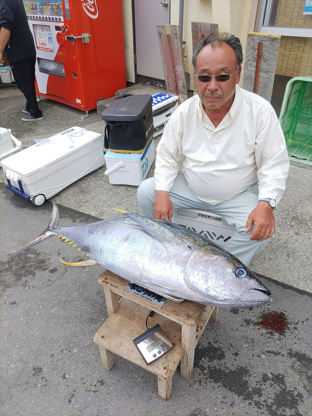 キハダマグロ(キハダ)