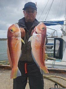 アマダイ(アカアマダイ)