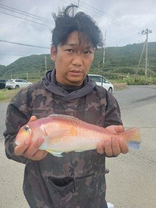 アマダイ(アカアマダイ)