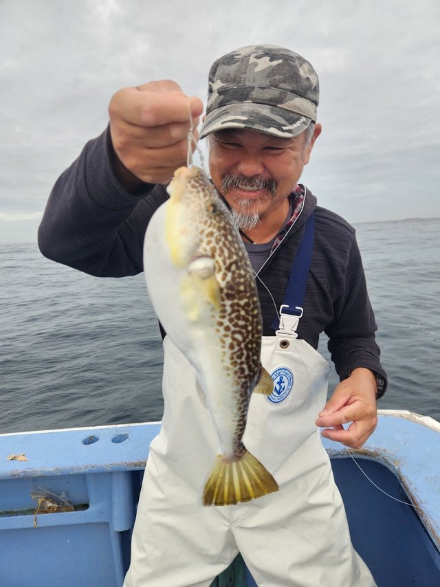 ショウサイフグ