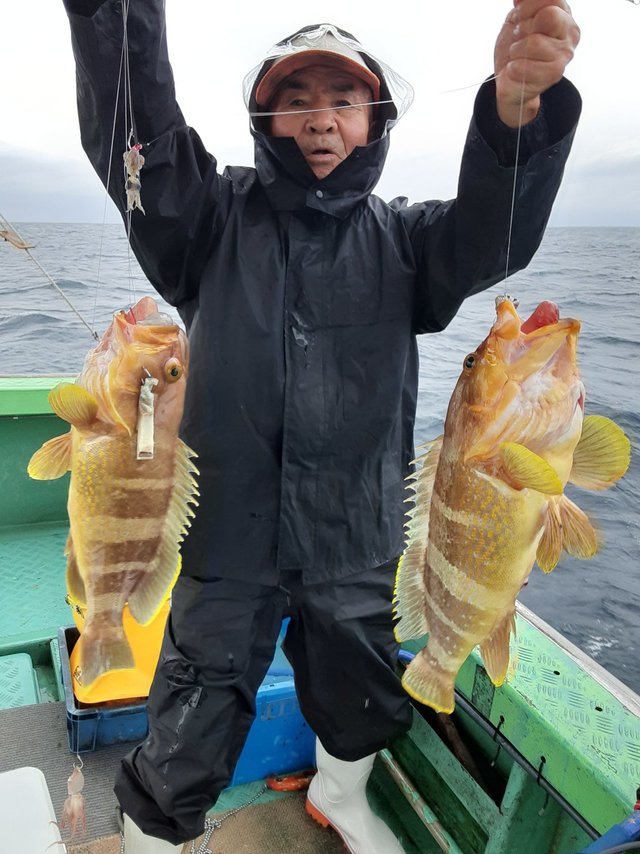 アオナ(アオハタ)