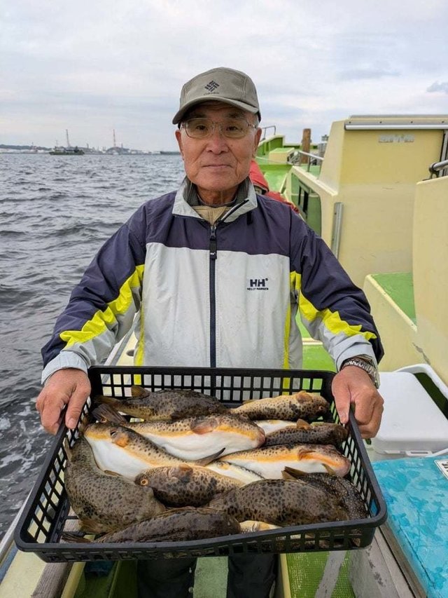 アカメフグ・ショウサイフグ