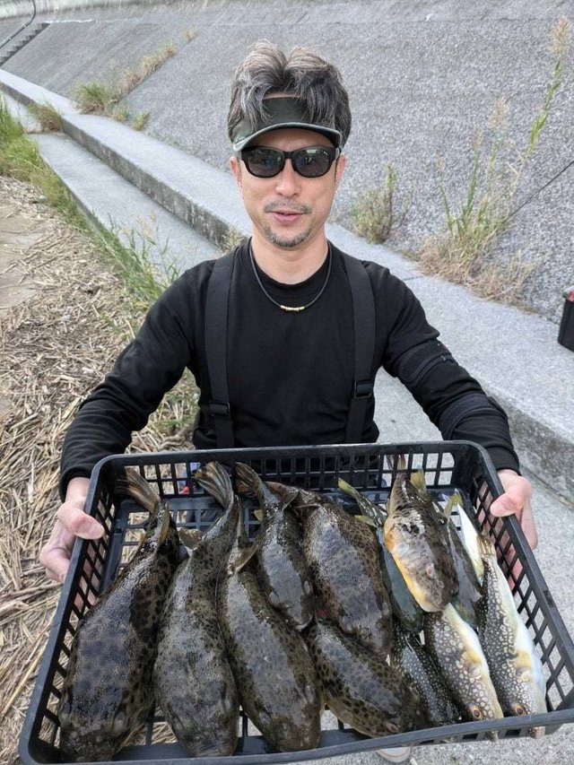 アカメフグ・ショウサイフグ