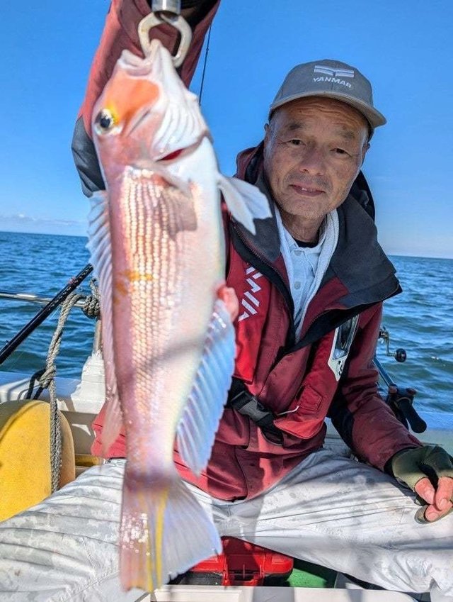 アマダイ(アカアマダイ)