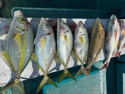 マダイ・シマアジ