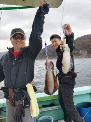 アオリ(アオリイカ)