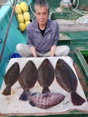 マハタ・ヒラメ