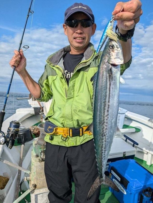 サゴシ(サワラ)