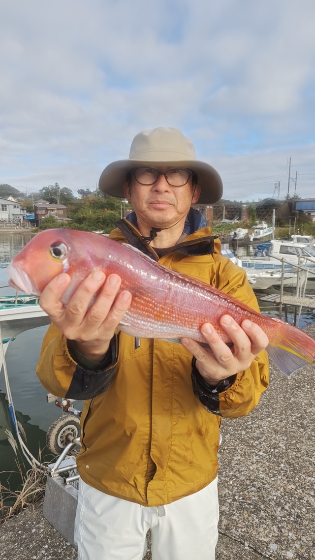 アマダイ(アカアマダイ)