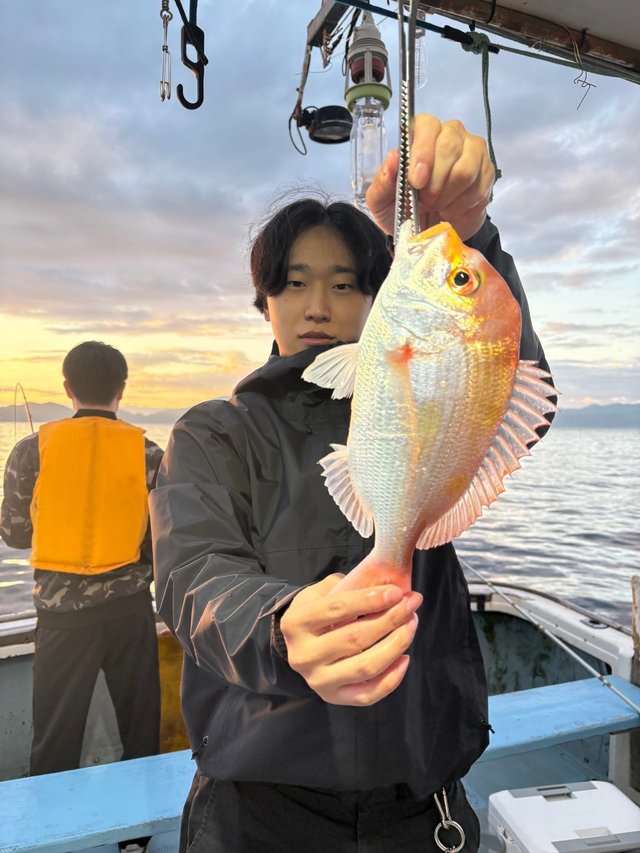 レンコ(キダイ)