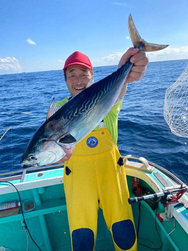 スマガツオ(スマ)