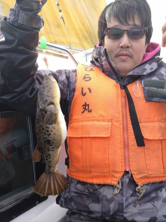 フグ(アカメフグ)