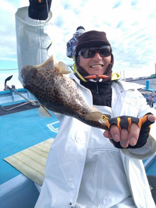 フグ(アカメフグ)