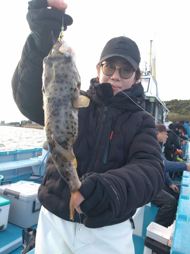 フグ(アカメフグ)