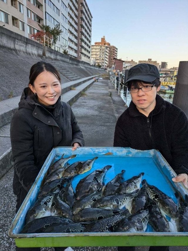 トラフグ・ショウサイフグ