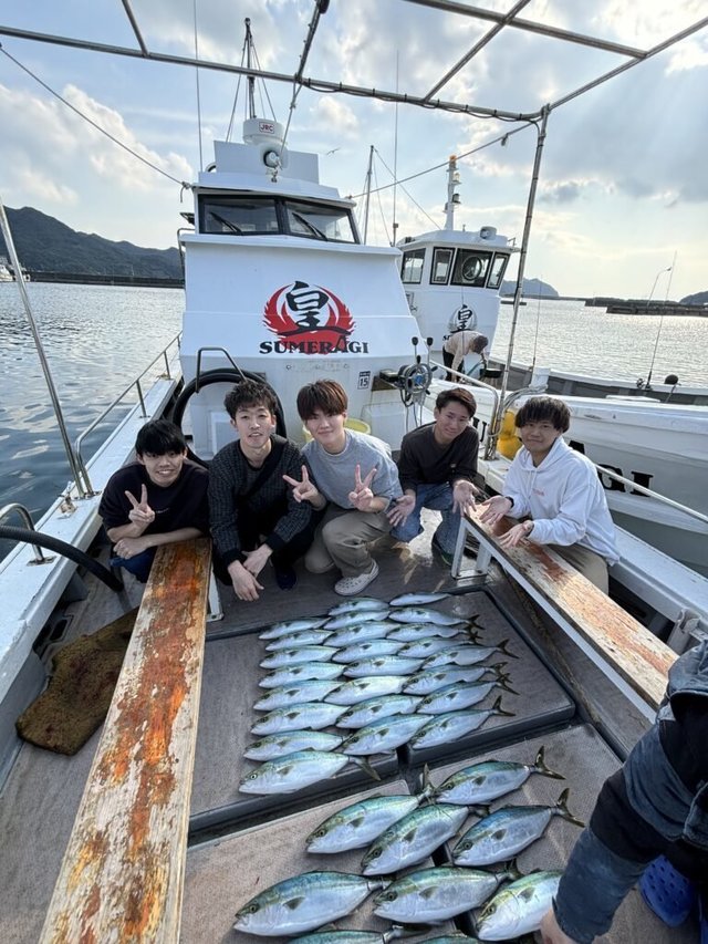 ハマチ(ブリ)・メジロ(ブリ)