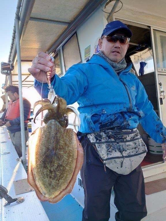 モンゴウイカ(カミナリイカ)