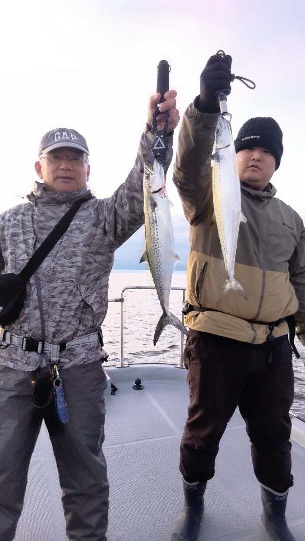 サゴシ(サワラ)