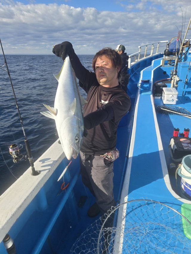 イナワラ(ブリ)