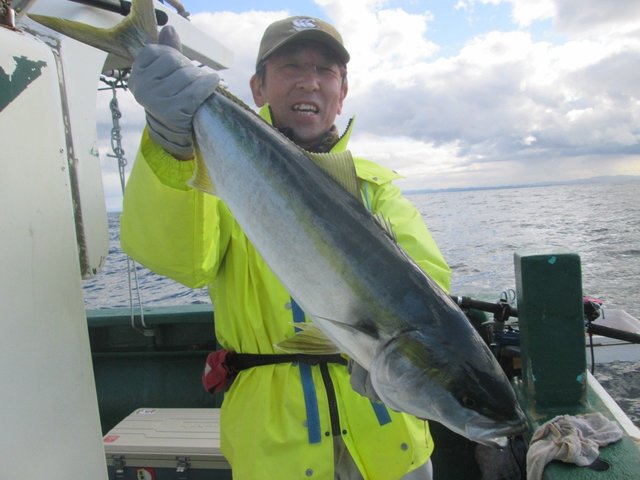 イナワラ(ブリ)