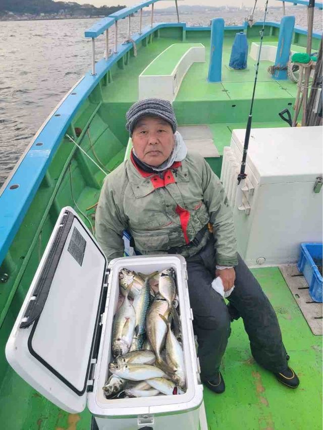 アジ(マアジ)