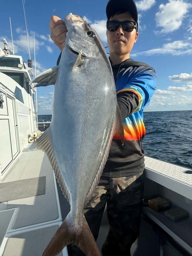 ヒレナガカンパチ