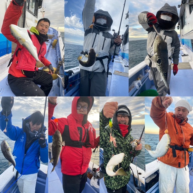 ショウサイフグ