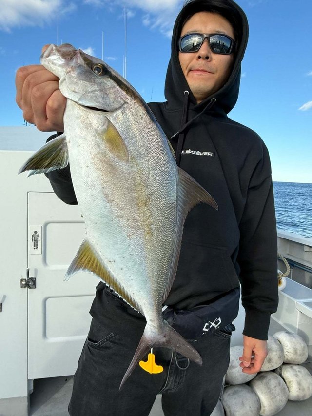 ヒレナガカンパチ