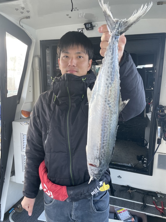 サゴシ(サワラ)