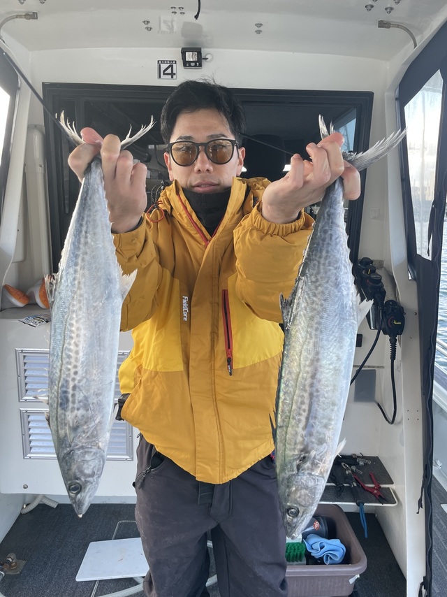 サゴシ(サワラ)