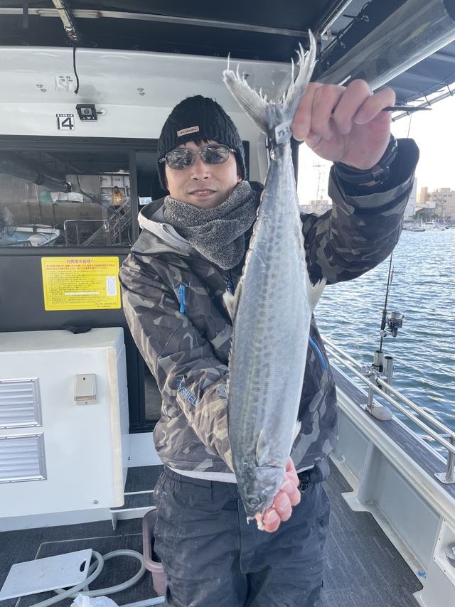 サゴシ(サワラ)