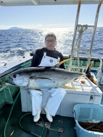 キハダマグロ(キハダ)