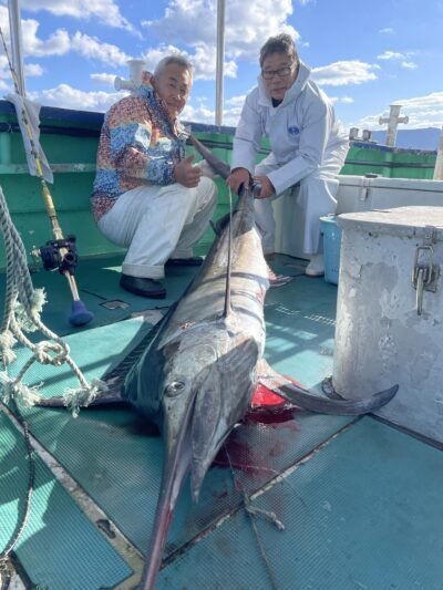 カジキ(マカジキ)