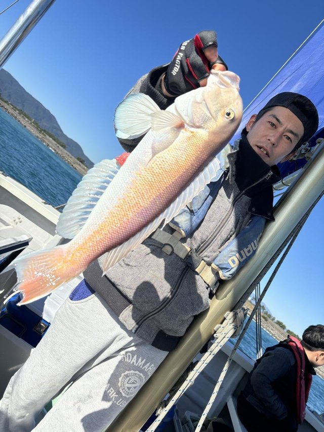 アマダイ(アカアマダイ)