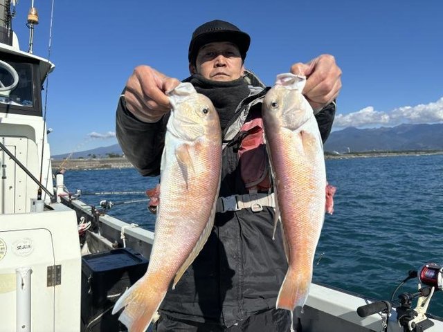 アマダイ(アカアマダイ)