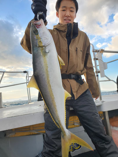 ヒラ(ヒラマサ)