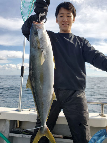 ヒラ(ヒラマサ)