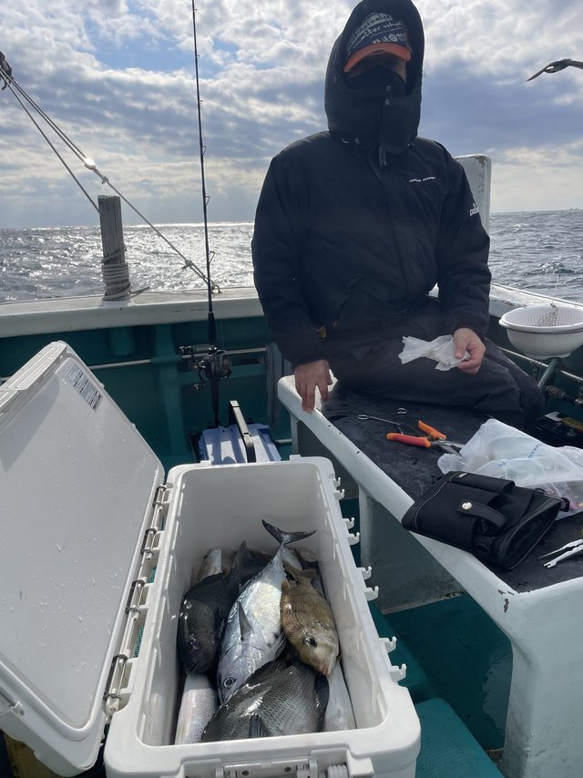 グレ(メジナ)・メイチダイ・ヤイトガツオ(スマ)