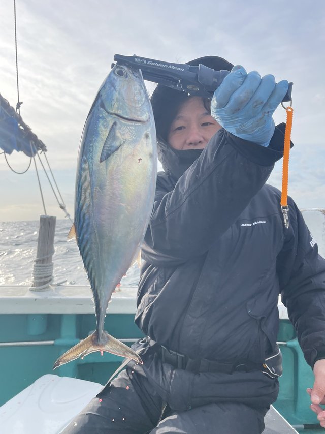 ヤイトガツオ(スマ)