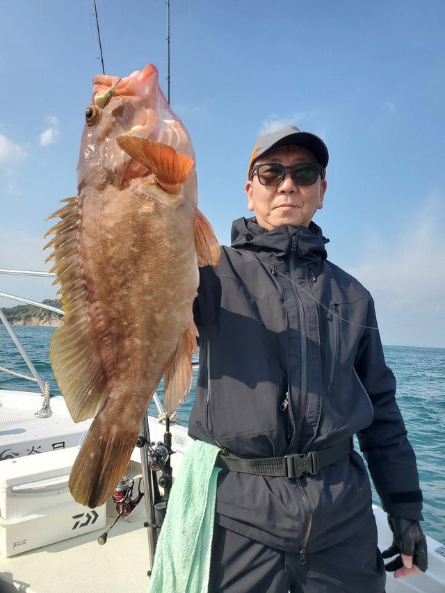 アコウ(キジハタ)