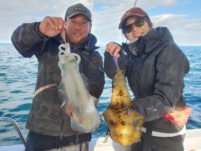 アオリ(アオリイカ)