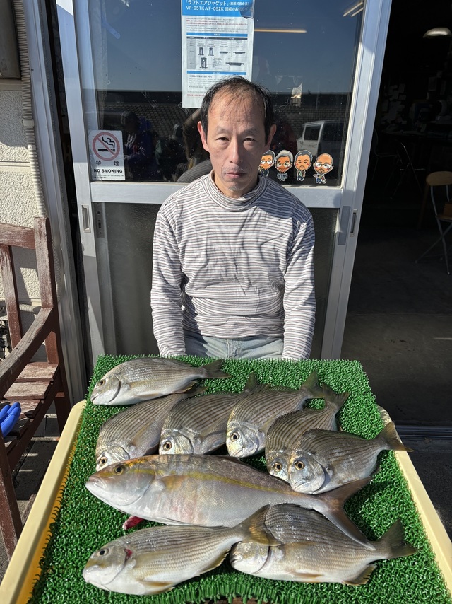 ヘダイ・カンパチ