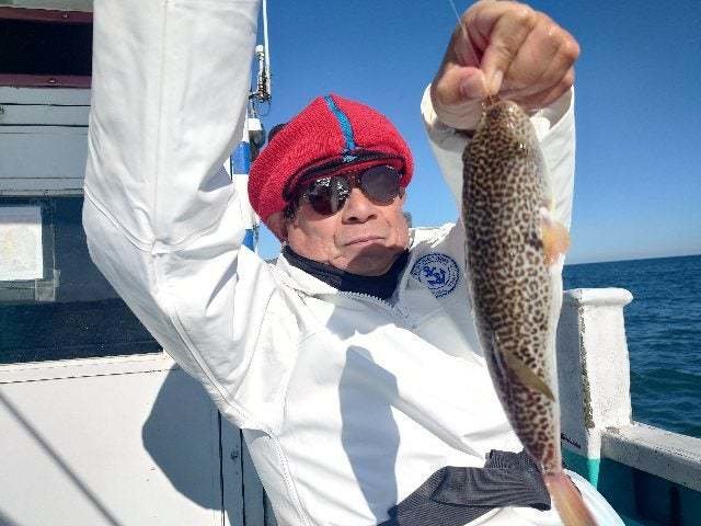 ショウサイフグ