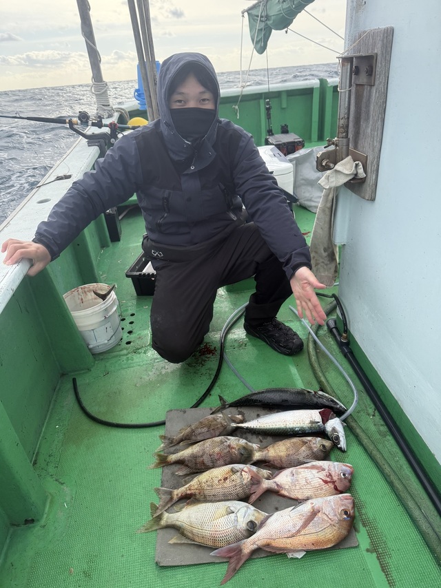 マダイ・メイチダイ