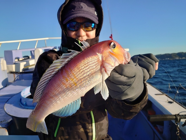 アマダイ(アカアマダイ)