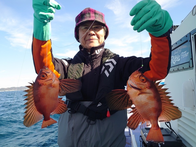 キントキ(チカメキントキ)