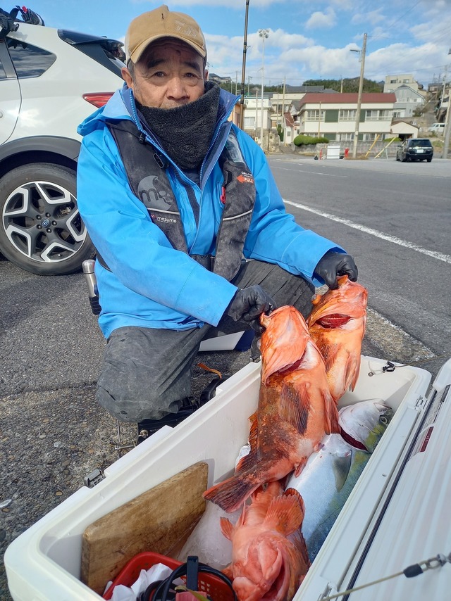 カンコ(ウッカリカサゴ)