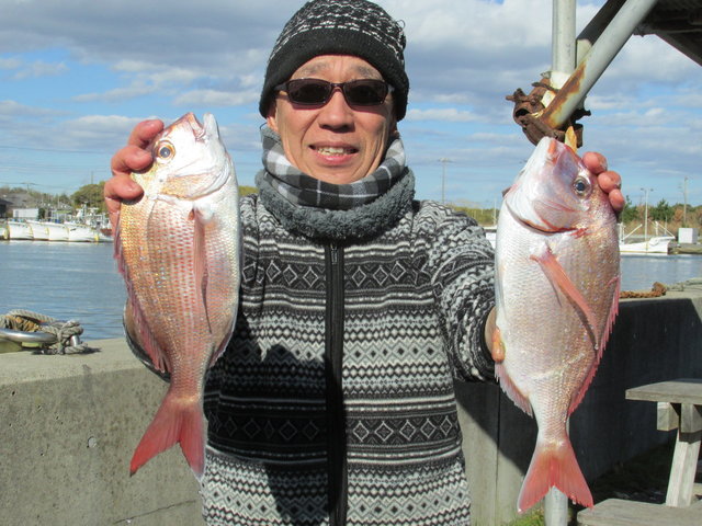 ハナダイ(チダイ)